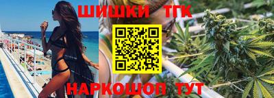 гидра Кингисепп