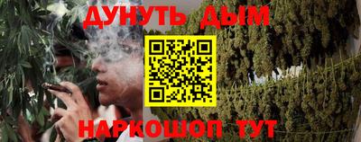 гидра Кингисепп