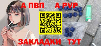 гидра Кингисепп