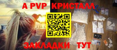 гидра Кингисепп