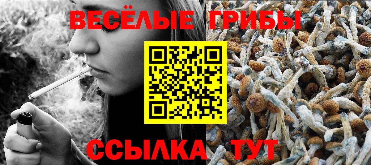 Галлюциногенные грибы мухоморы Кудымкар
